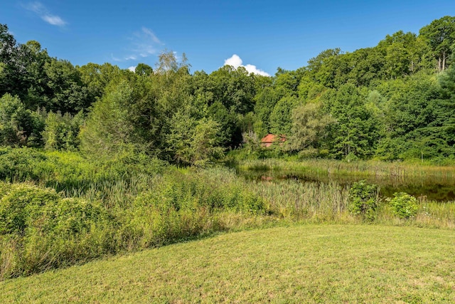 view of nature with a water view