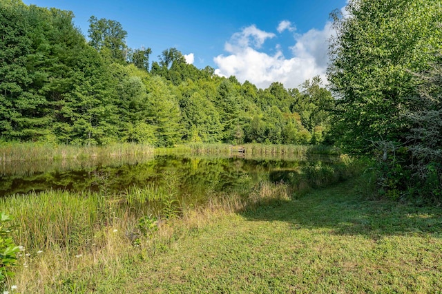 view of nature with a water view