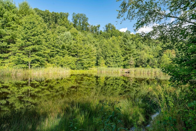 view of local wilderness featuring a water view