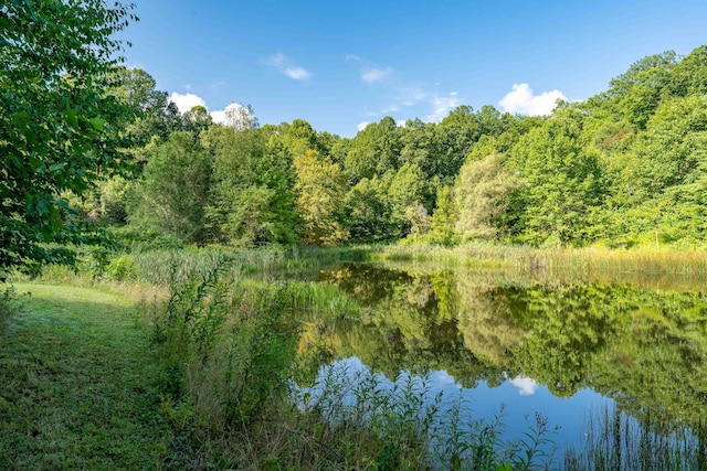 view of local wilderness featuring a water view