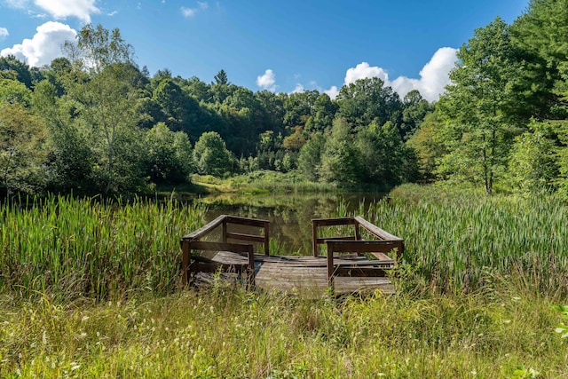 dock area with a water view