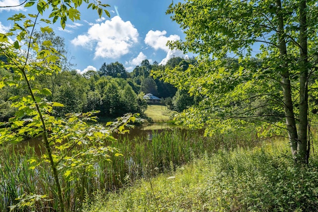 view of nature featuring a water view