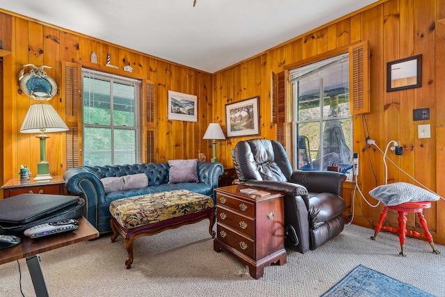 sitting room featuring wooden walls