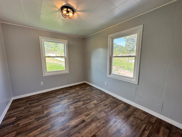 unfurnished room with plenty of natural light and dark wood-type flooring