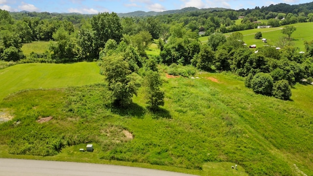 Listing photo 2 for TBD Washington Way Lot 208, Bristol VA 24202