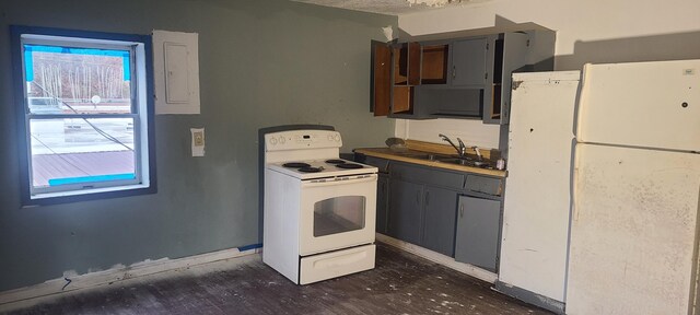 kitchen featuring gray cabinets, white appliances, dark hardwood / wood-style floors, and sink