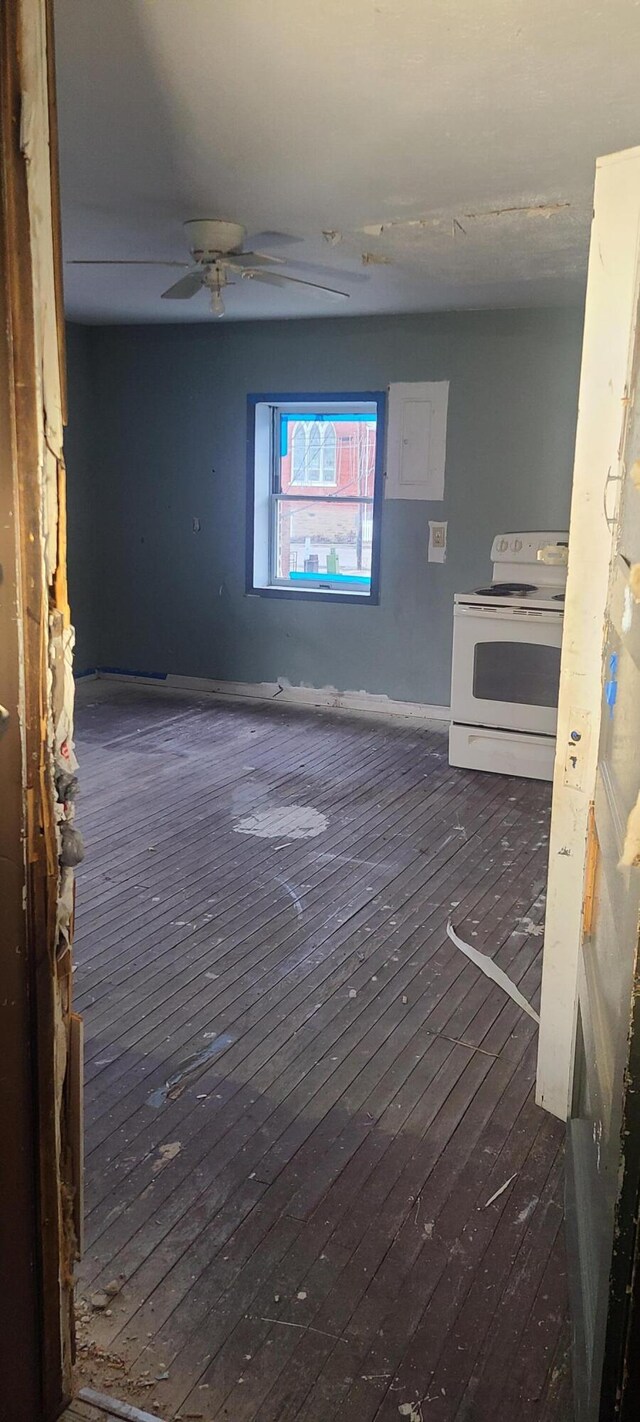 spare room with ceiling fan and dark hardwood / wood-style flooring