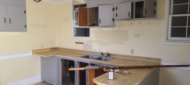 kitchen featuring white cabinets and sink