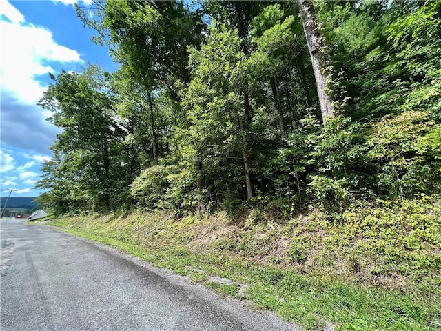 TBD Rhea Rd, Mountain City TN, 37683 land for sale