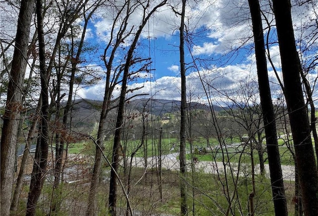 Listing photo 3 for TBD Rhea Rd, Mountain City TN 37683