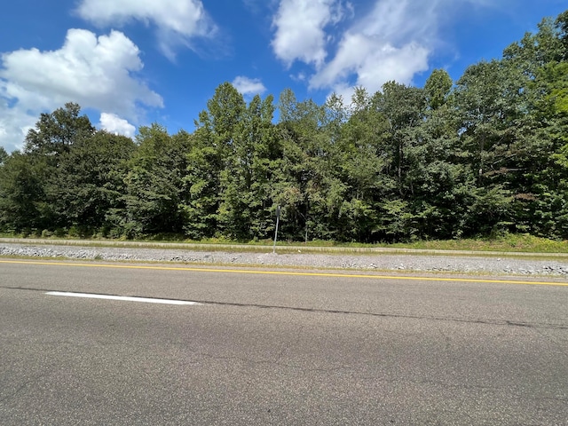 TBD Wilderness Rd, Jonesville VA, 24263 land for sale