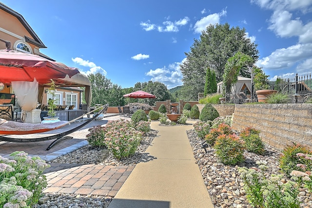 view of yard with a patio area