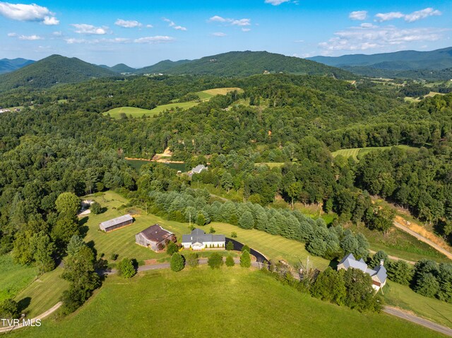 drone / aerial view featuring a mountain view