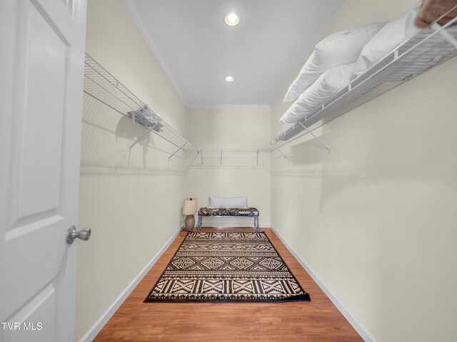 walk in closet with wood-type flooring