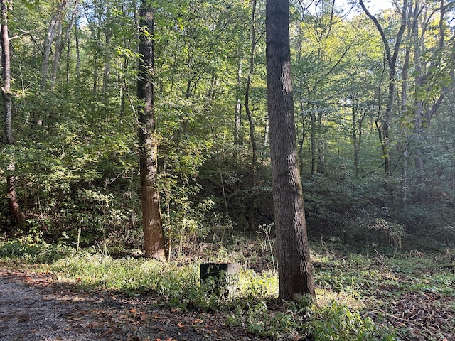 Listing photo 2 for TBD Holt Town Rd, Off, Newport TN 37821