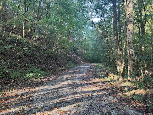 TBD Holt Town Rd, Off, Newport TN, 37821 land for sale