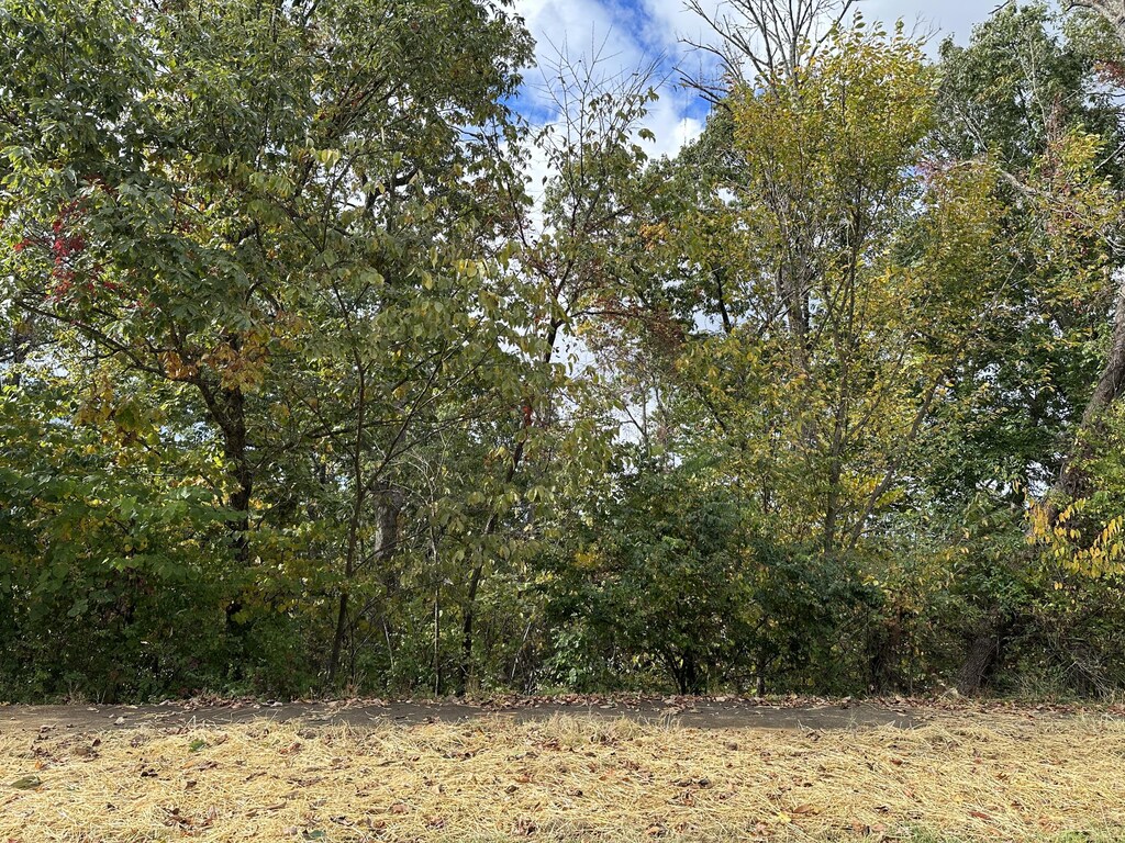1462 Becky Dr, Johnson City, TN 37601 - photo 1