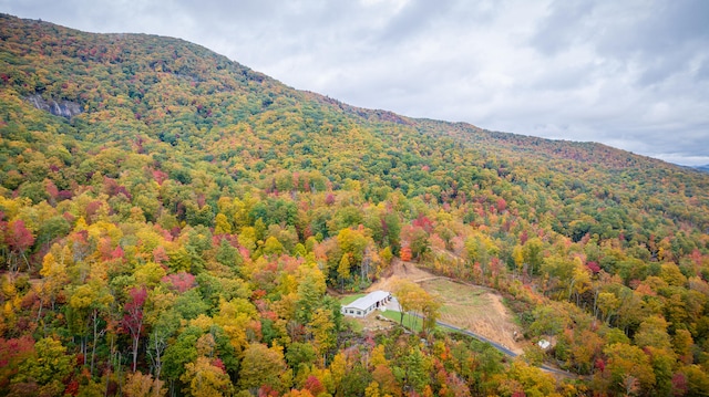 view of mountain feature