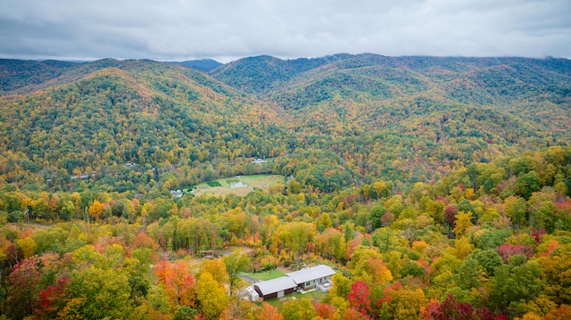 view of mountain feature