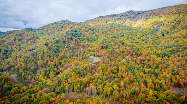 view of mountain view