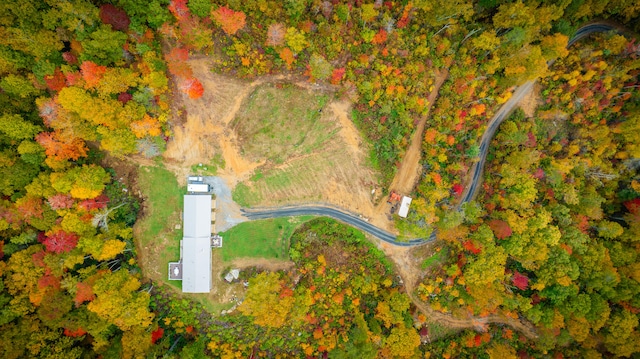 view of bird's eye view