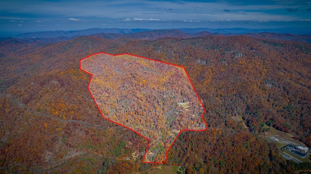 birds eye view of property featuring a mountain view