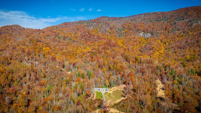 view of mountain feature