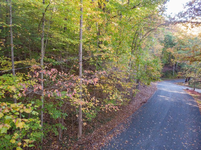 LOT13 Skyline Dr, Bristol, TN 37620