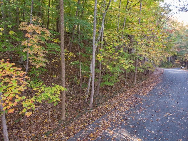 LOT13 Skyline Dr, Bristol, TN 37620
