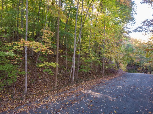 LOT13 Skyline Dr, Bristol, TN 37620