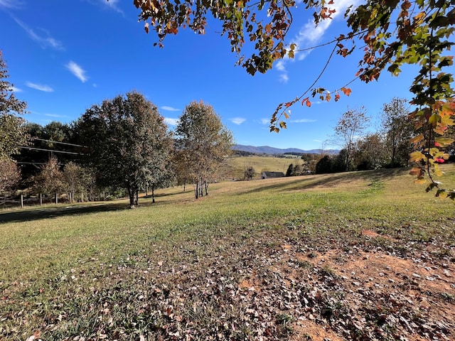 view of yard with a mountain view and a rural view