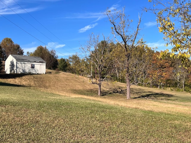 view of yard with an outbuilding