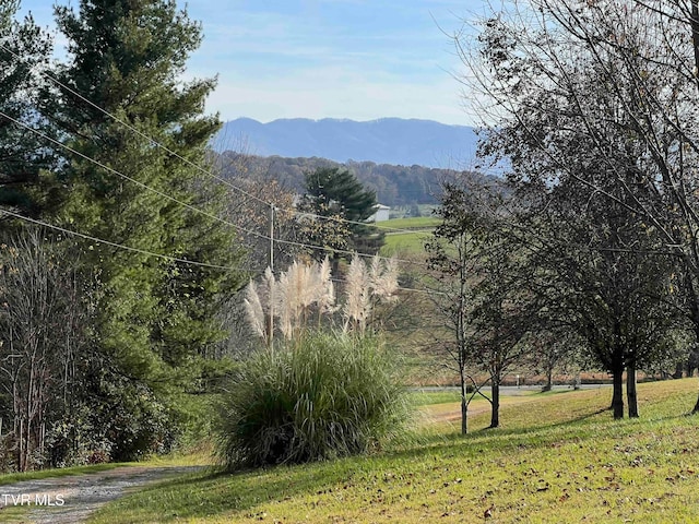 property view of mountains