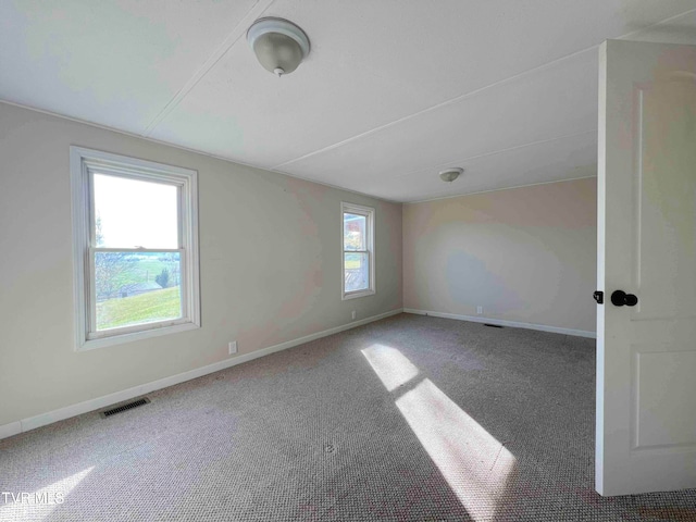 bonus room featuring carpet flooring and a wealth of natural light