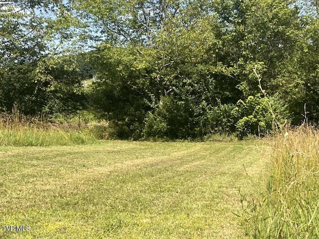 1541 Gregg Mill Rd, Greeneville, TN 37743 - photo 65