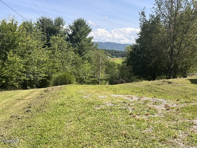 1541 Gregg Mill Rd, Greeneville, TN 37743 - photo 67