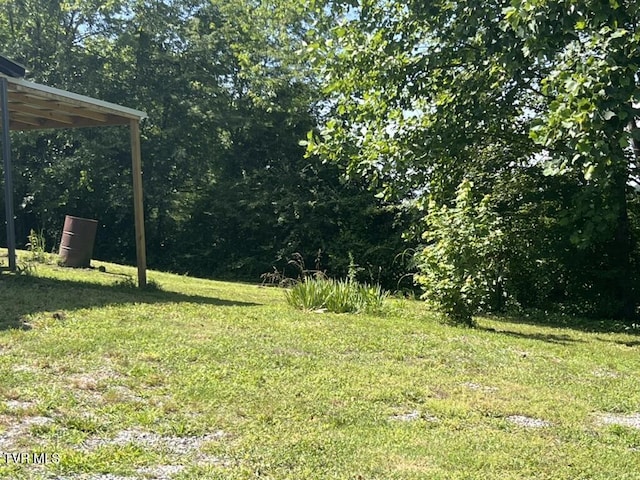 1541 Gregg Mill Rd, Greeneville, TN 37743 - photo 68