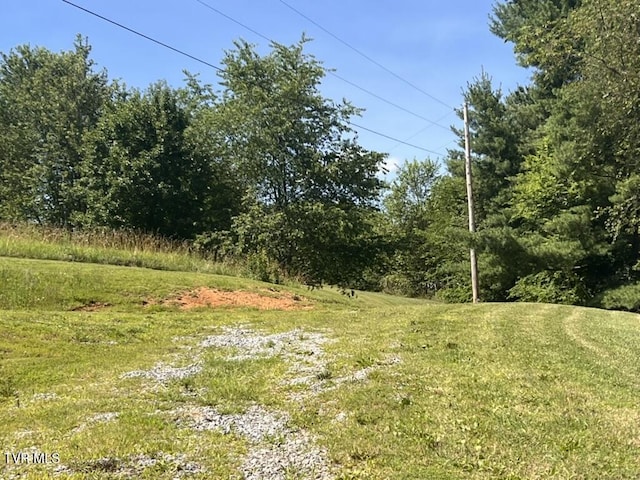 1541 Gregg Mill Rd, Greeneville, TN 37743 - photo 69