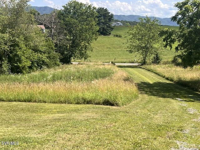 1541 Gregg Mill Rd, Greeneville, TN 37743 - photo 33