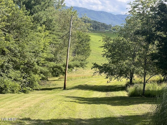 1541 Gregg Mill Rd, Greeneville, TN 37743 - photo 31