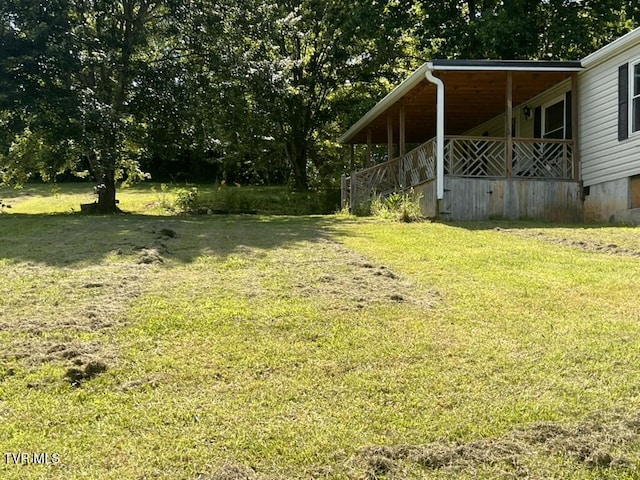 1541 Gregg Mill Rd, Greeneville, TN 37743 - photo 70