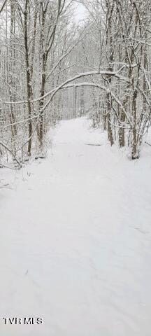 LOT9 N Fork River Rd, Abingdon, VA 24210 - photo 32