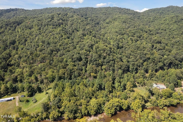 LOT9 N Fork River Rd, Abingdon, VA 24210 - photo 18