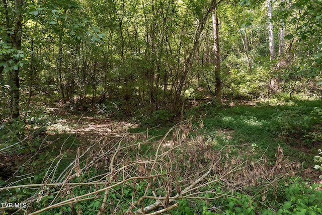 LOT9 N Fork River Rd, Abingdon, VA 24210 - photo 20