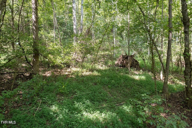 LOT9 N Fork River Rd, Abingdon, VA 24210 - photo 21