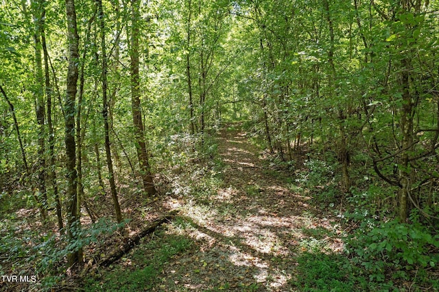 LOT9 N Fork River Rd, Abingdon, VA 24210 - photo 22