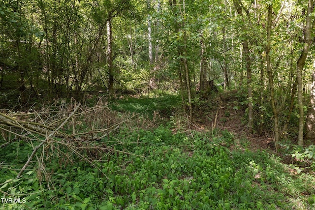LOT9 N Fork River Rd, Abingdon, VA 24210 - photo 24