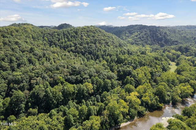 LOT9 N Fork River Rd, Abingdon, VA 24210 - photo 28