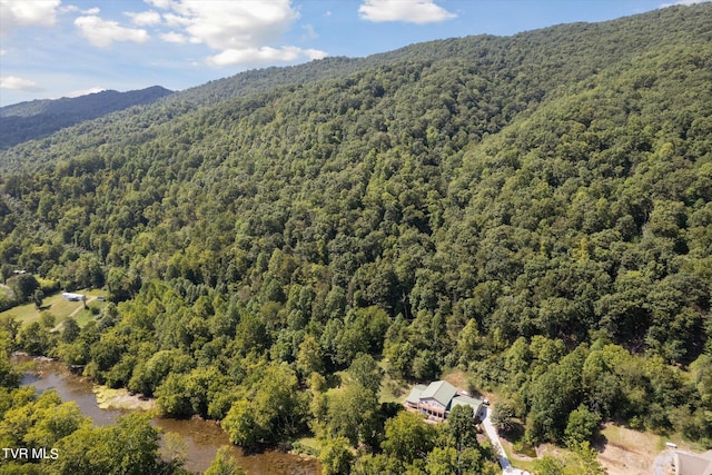 LOT9 N Fork River Rd, Abingdon, VA 24210 - photo 30