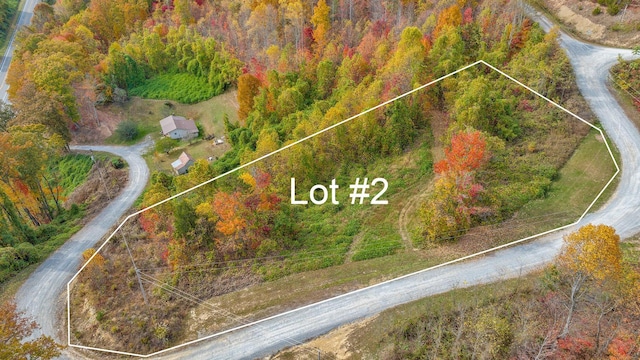 TBD Majestic Dr, Duffield VA, 24244 land for sale